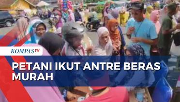 Cerita Petani di Cirebon Terpaksa Ikut Antre Beras Murah