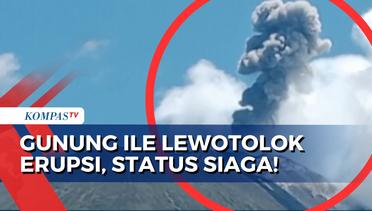 Terus Keluarkan Kolom Abu dan Lava Pijar, Warga Sekitar Gunung Ile Lewotolok NTT Diminta Siaga!