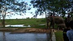 Lampung timur....way gambass(gajah lagi mandi)....