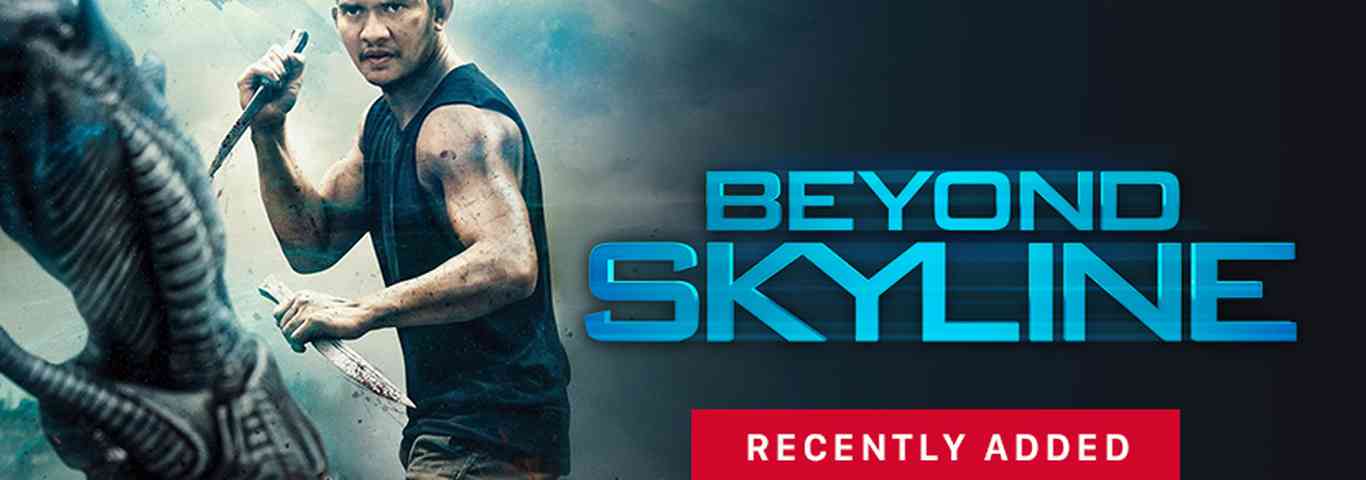 Beyond Skyline