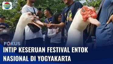 Ratusan Komunitas Peternak di Pulau Jawa Ramai-ramai Ikuti Festival Entok Nasional | Fokus