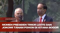 Momen Presiden Timor Leste dan Jokowi tanam pohon di Istana Bogor