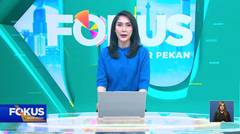 Fokus - 02/11/25