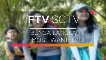 FTV SCTV - Bunga Langka Most Wanted