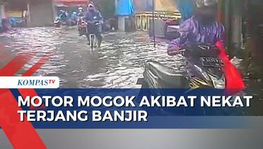 Banjir Rendam Jalan Tegal Alur Kalideres, Motor Mogok Akibat Terjang Genangan Air