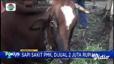 Sapi yang Terpapar PMK di Jombang Dijual Rp2 Juta Per Ekor