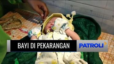 Tega! Bayi Perempuan Ditemukan Tergeletak Beralaskan Daun Pisang di Blitar! | Patroli