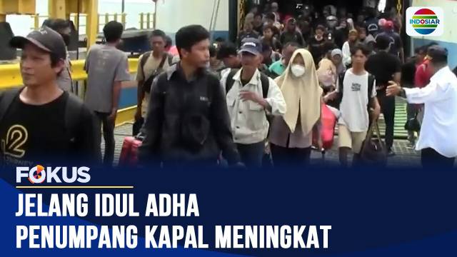 Jelang Idul Adha, Arus Penumpang di Pelabuhan Parepare dan Simboro Meningkat Drastis | Fokus