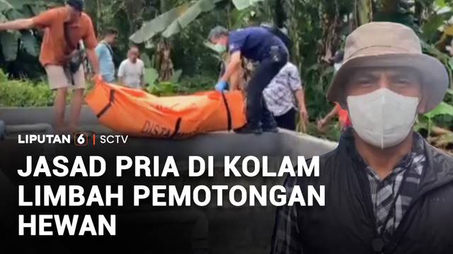 Jasad Pria di Kolam Limbah Pemotongan Hewan | Liputan 6