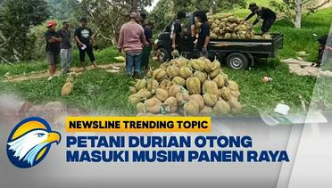 Newsline Trending Topic - Tembus Ekspor, Petani Otong Raup Untung