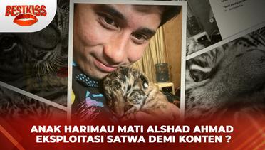 Anak Harimau Mati Alshad Ahmad Ekxploitasi Satwa Demi Konten? | Best Kiss