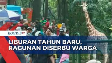 Diserbu Pengunjung di Libur Tahun Baru, Pihak Taman Margasatwa Ragunan Imbau Tetap Jaga Prokes