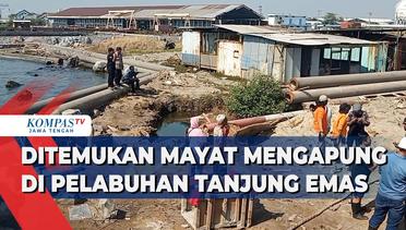 Sesosok Mayat Pria Tanpa Identitas Mengapung di Pelabuhan Tanjung Emas Semarang