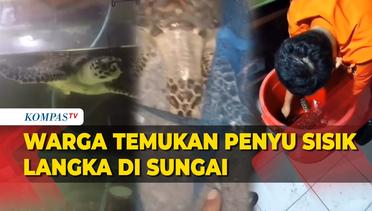 Asyik Mancing Warga di Surabaya Temukan Hewan Langka dan Dilindungi