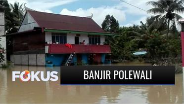 Ratusan Rumah Warga di Polewali Terendam Banjir Setinggi hingga 1,5 Meter | Fokus