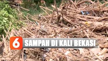 Penampakan Sampah Bambu di Kali Cikeas Bekasi - Liputan 6 Terkini