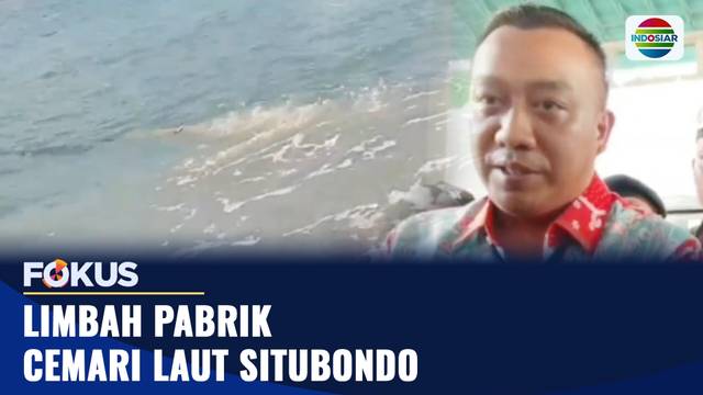 Limbah Pabrik Cemari Laut Situbondo | Fokus