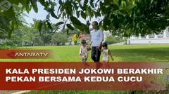 Kala Presiden Jokowi berakhir pekan bersama kedua cucu
