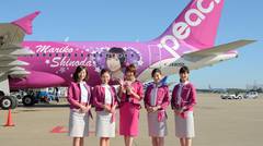 fly from tokyo to okinawa island by peach airline