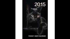 2015 Pocket Diary Calendar - Black Cat (Pocket Calendar Series)