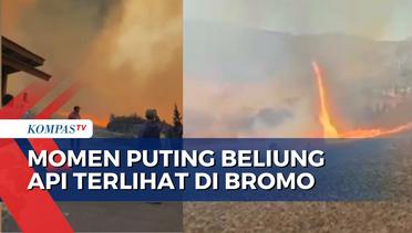 Detik-Detik Puting Beliung Api Picu Kebakaran di Bromo Kembali Meluas