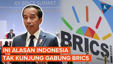 Jokowi Ungkap Alasan Indonesia Belum Ajukan Jadi Anggota BRICS
