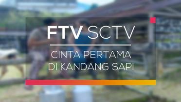 FTV SCTV - Cinta Pertama di Kandang Sapi