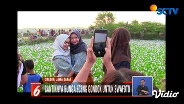 Viral, Berburu Selfie di Kolam Eceng Gondok - Liputan 6 Siang