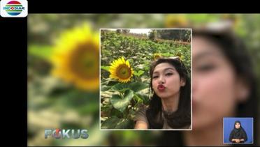 Berburu Foto Selfie dengan Bunga Matahari di Serpong Tangerang - Fokus