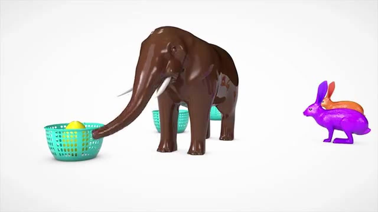 buah buahan untuk kelinci