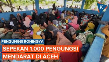 1.000 Pengungsi Rohingya Mendarat di Aceh Selama Sepekan