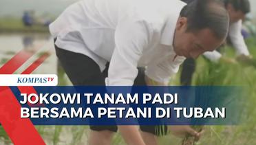 Tanam Padi Bersama Petani di Tuban, Jokowi: Pupuk Organik Buat Petani Hemat Jutaan Rupiah