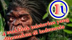 4 Makhluk Misterius yang Ditemukan di Indonesia