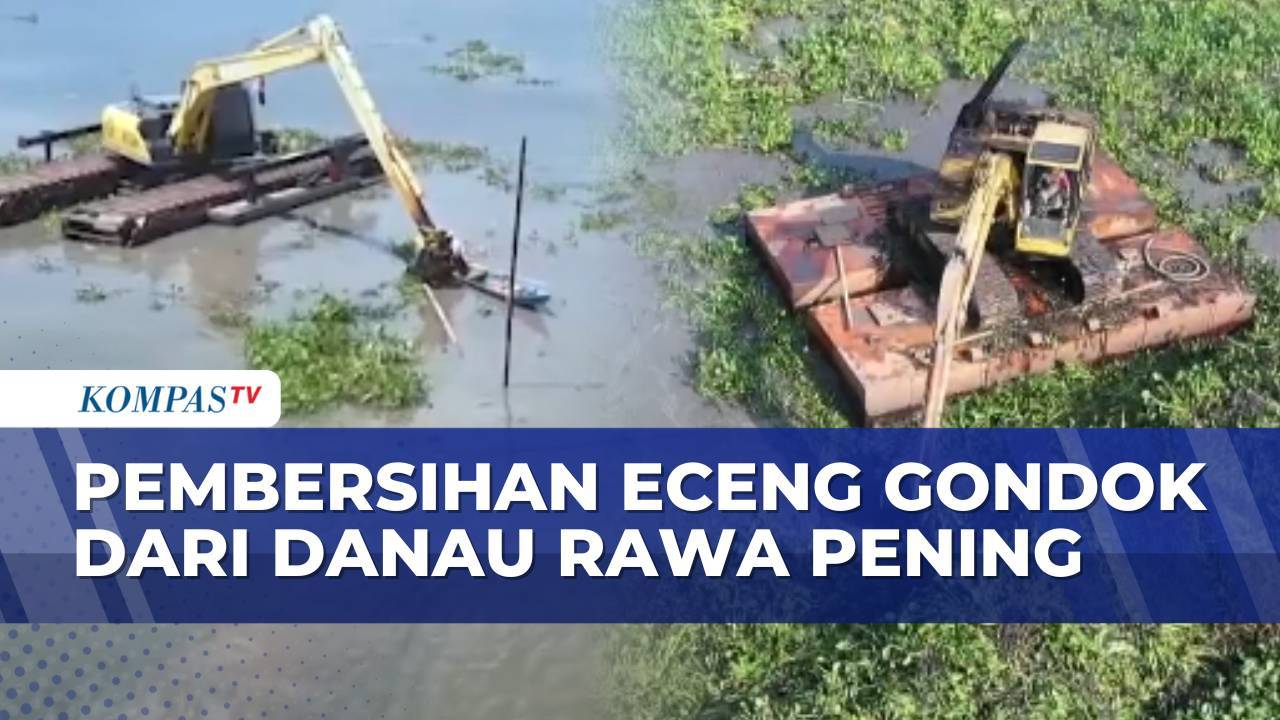 Pantauan Udara Pembersihan Eceng Gondok dan Sampah di Danau Rawa Pening ...