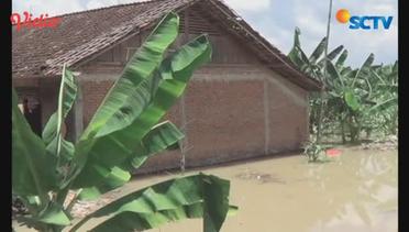 Warga Lamongan Pasrah, Banjir Bengawan Solo Tak Kunjung Surut - Liputan 6 Petang
