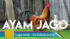 Lagu Anak Indonesia Balita Paud Tk Sd - Kuku Kukuruyuk Ayam Jantan Jago