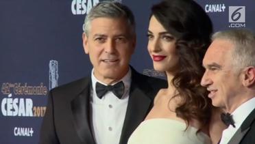 George Clooney, Aktor Pendapatan Tertinggi di Dunia