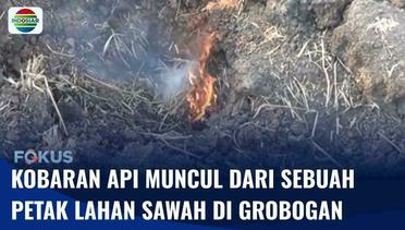 Petak Sawah di Grobogan Keluarkan Kobaran Api saat Pemilik Lahan Melakukan Pengurugan | Fokus