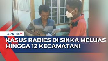 Jadi KLB, Kasus Rabies di Sikka Meluas Hingga 12 Kecamatan!