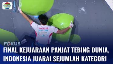 Indonesia Berhasil Juarai Beberapa Kategori di Kejuaraan Panjat Tebing Dunia| Fokus