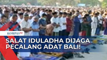 Hidup Penuh Toleransi, Salat Iduladha di Denpasar Bantu Dijaga Pecalang Adat Bali!