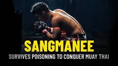 Sangmanee Survives Poisoning To Conquer Muay Thai
