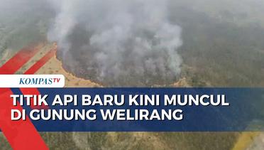 Kebakaran di Kawasan Bromo Teratasi Kini Titip Api Muncul di Gunung Welirang