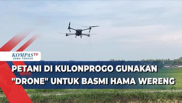 Petani di Kulon Progo Gunakan Drone untuk Basmi Hama Wereng