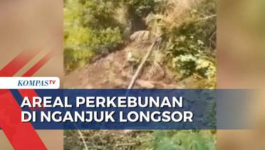 Detik-Detik Areal Perkebunan di Nganjuk Jawa Timur Longsor