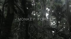 The Kencana | Monkey Forest Ubud