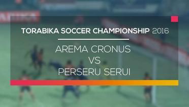 Arema Cronus vs Perseru Serui - Torabika Soccer Championship 2016
