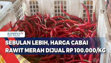 Sebulan Lebih, Harga Cabai Rawit Merah di Kota Semarang dijual RP 100.000 Per Kilogram