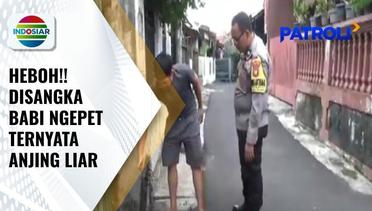 Heboh! Kemunculan Babi Ngepet di Tangerang Selatan yang Terekam CCTV Ternyata Anjing Liar | Patroli
