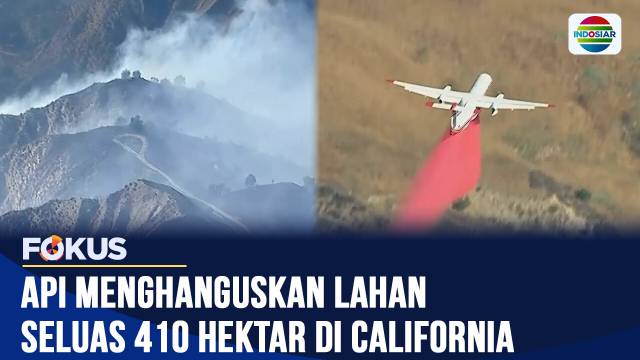 Kebakaran Hutan di California Paksa 50 Ribu Warga Mengungsi, Ratusan Bangunan Terancam | Fokus